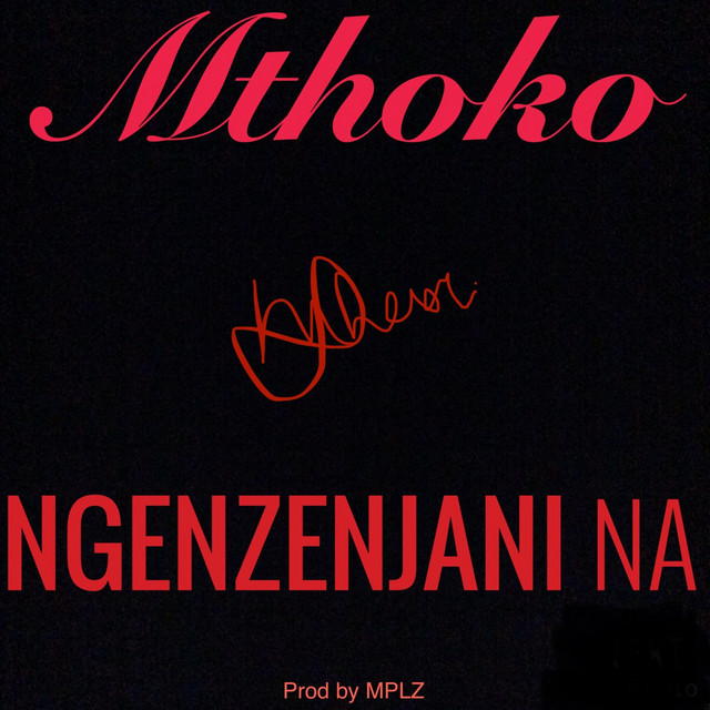 Ngenzenjani Na - Single by Mthoko | Spotify