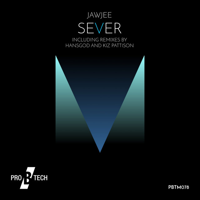 Sever cover art
