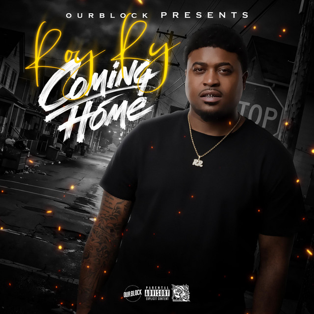 Pochette du titre Coming Home