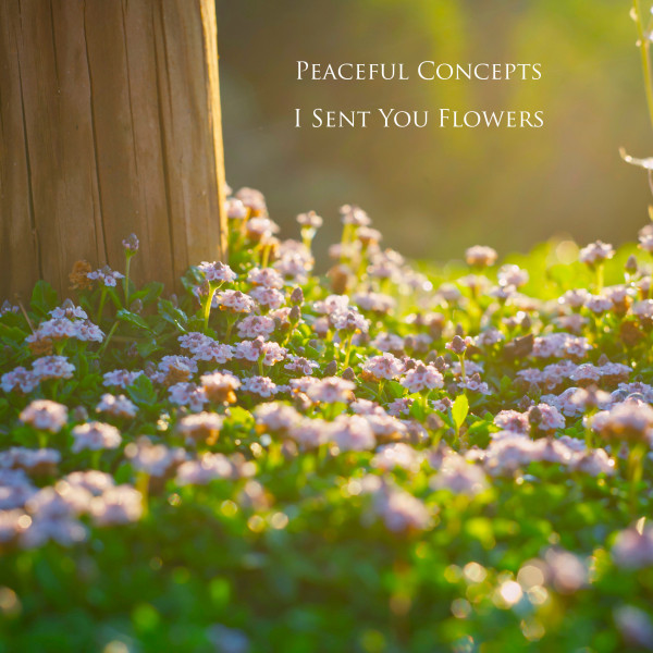 I Sent You Flowers cover