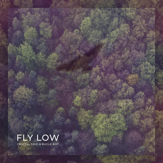 Fly Low