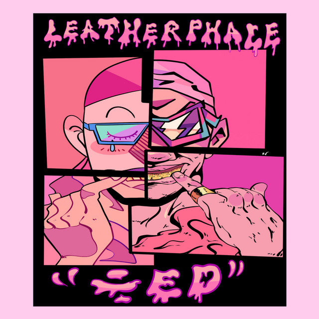 Divided cover art