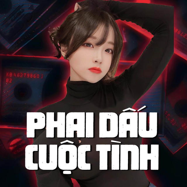 Phai Dấu Cuộc Tình (Remix) cover art