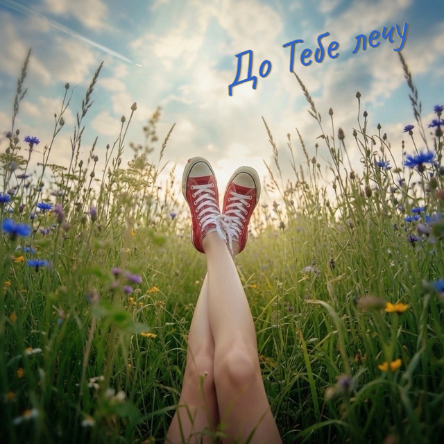 Обкладинка: До Тебе лечу — Nekrasoff