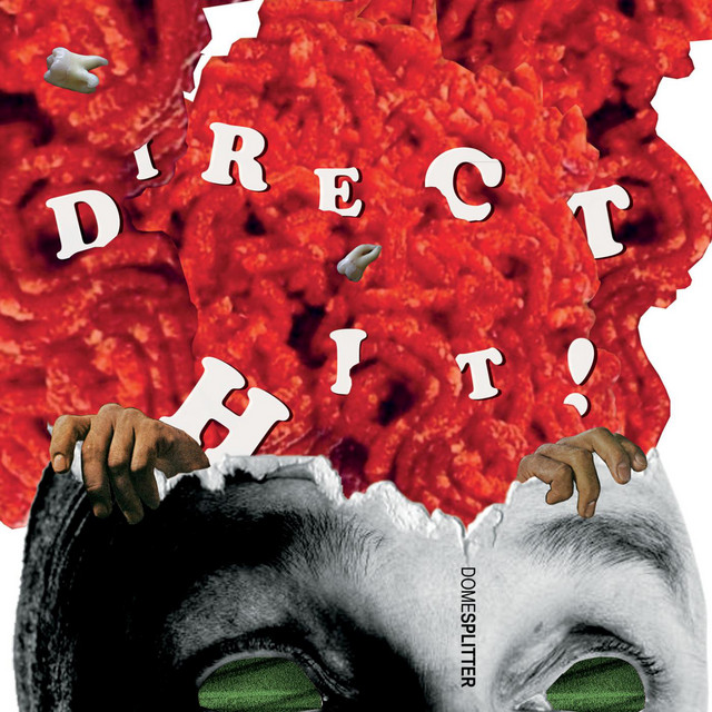 Domesplitter cover art