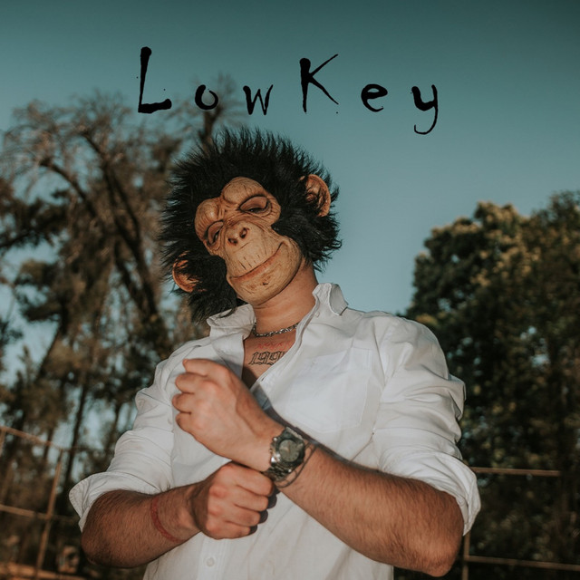 LowKey cover art