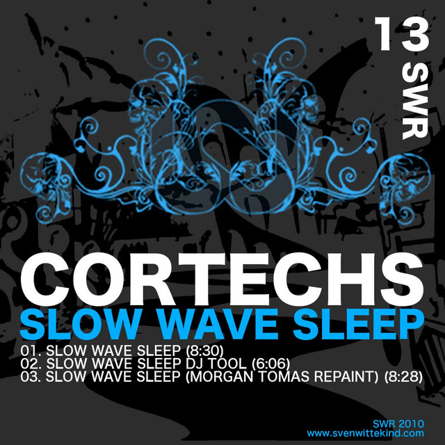 Slow Wave Sleep - Morgan Tomas Repaint cover art
