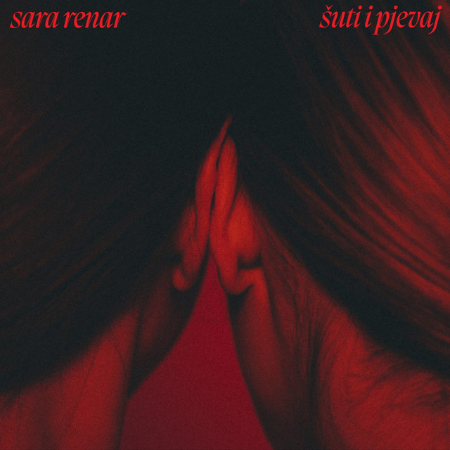 Šuti i Pjevaj cover art