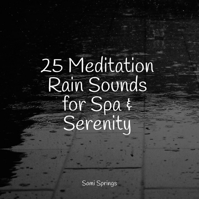 25 Meditation Rain Sounds for Spa & Serenity - Album by Yoga Para Ninos ...
