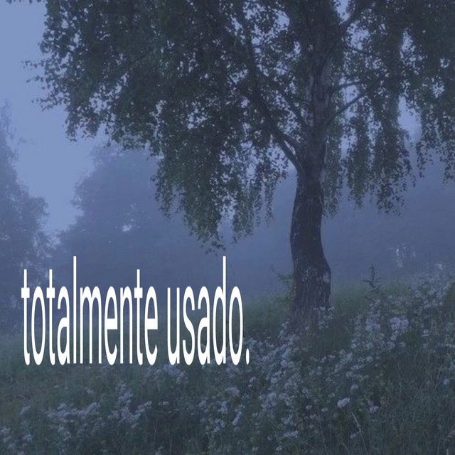 Totalmente Usado