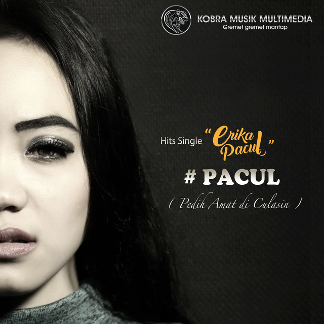 Pacul - Single by Erika Pacul | Spotify