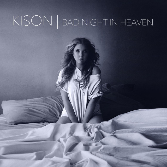 Bad Night in Heaven cover