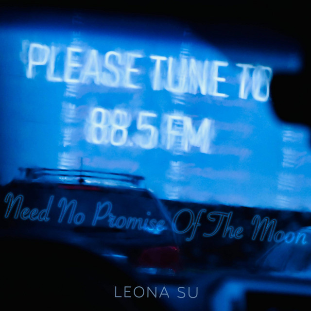 Need No Promise Of The Moon