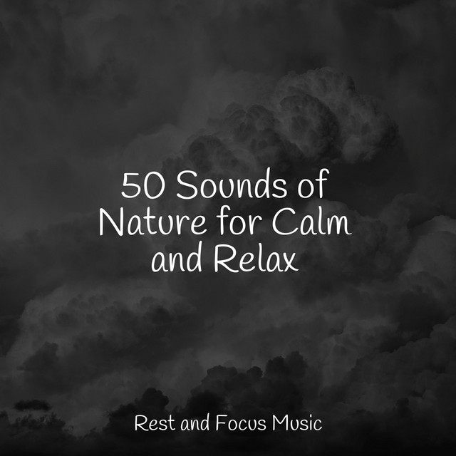 50 Sounds of Nature for Calm and Relax - Album by Study Concentration ...