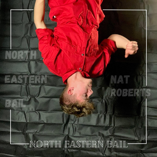 North Eastern Bail cover art