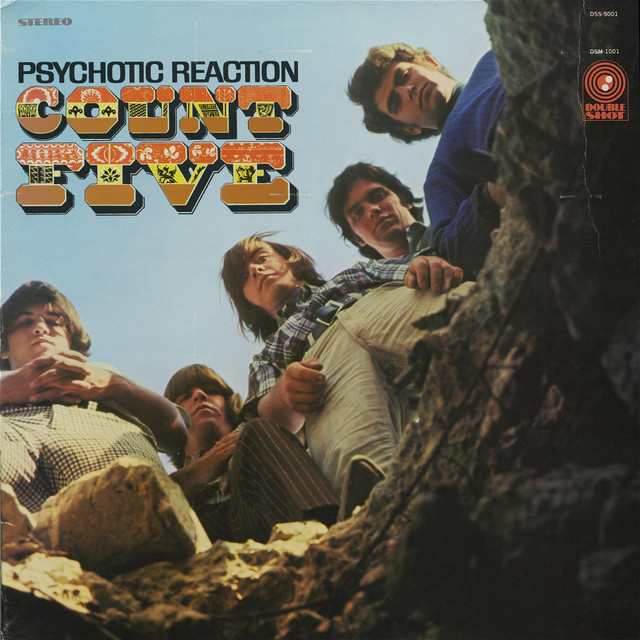 Psychotic Reaction (Digitally Remastered) cover art