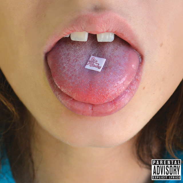 Silk Rhodes cover art