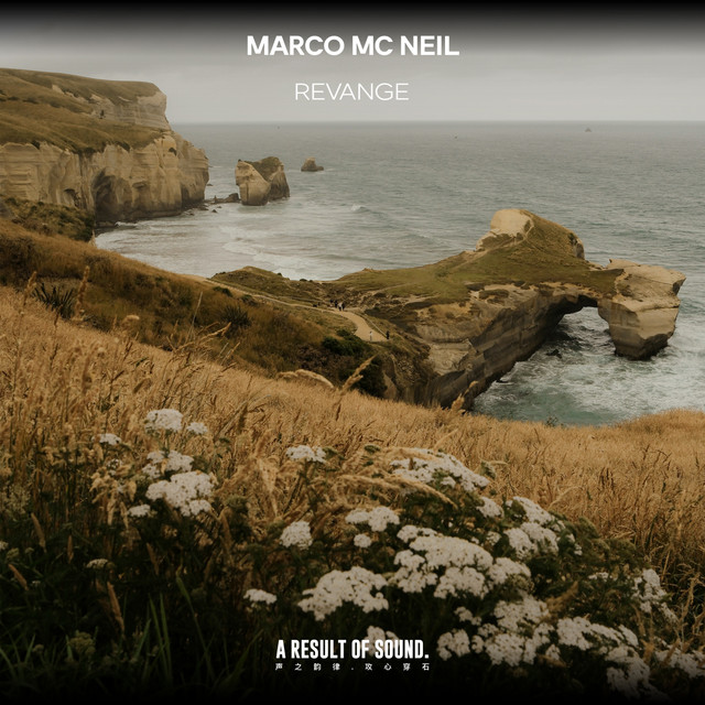 Обкладинка Marco Mc Neil — Revange