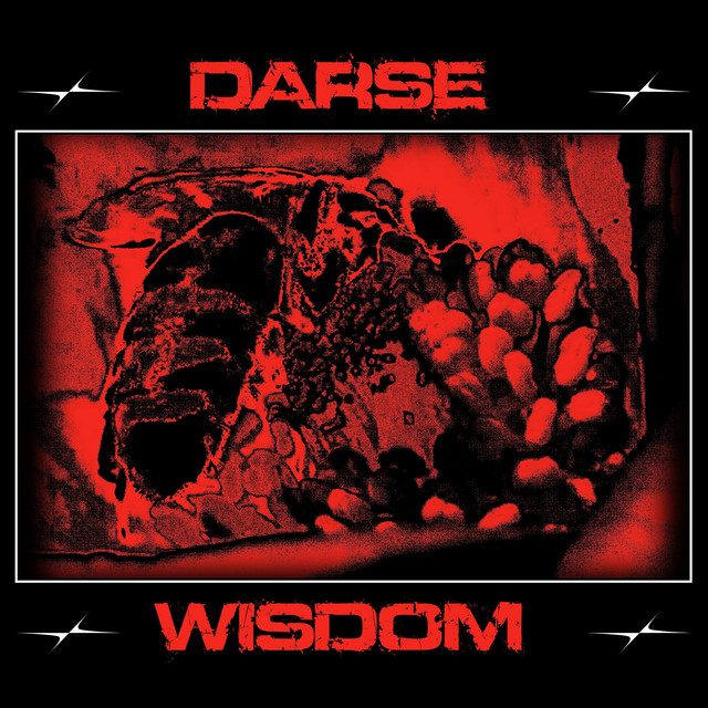 Wisdom cover art