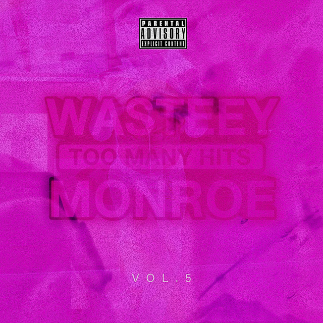 Too Many Hits Volume 5 cover art