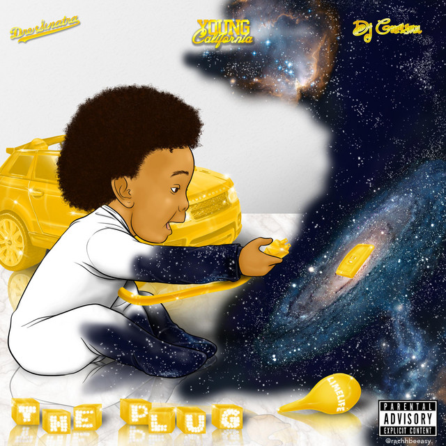 The Plug cover art