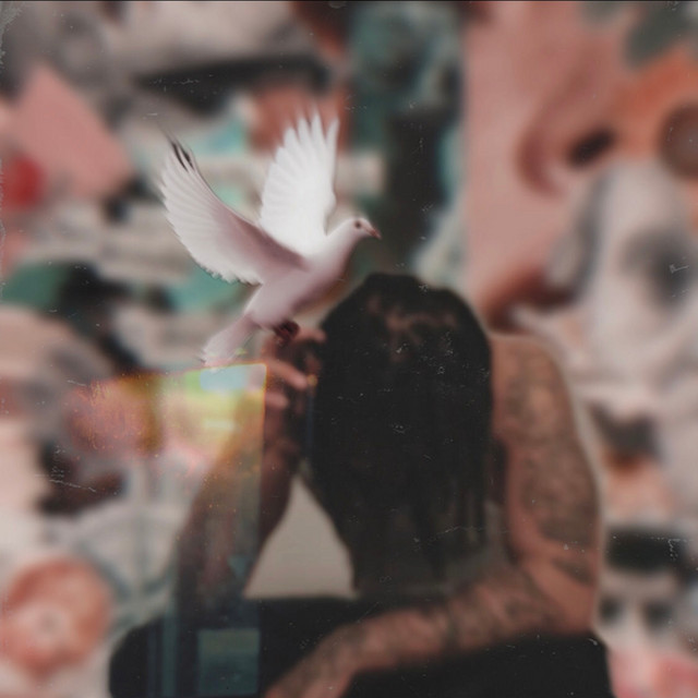 Dove In The Sky