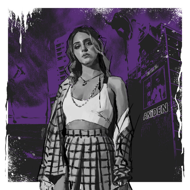 ANİDEN cover art