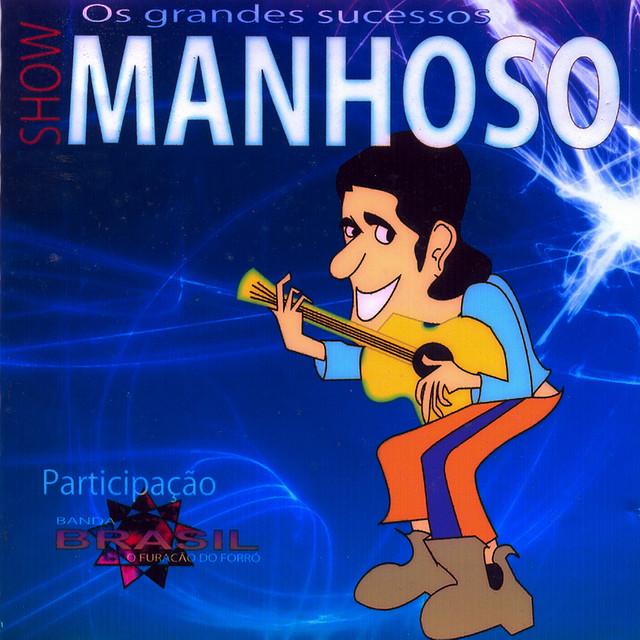 Show os Grandes Sucessos (Ao Vivo) cover art