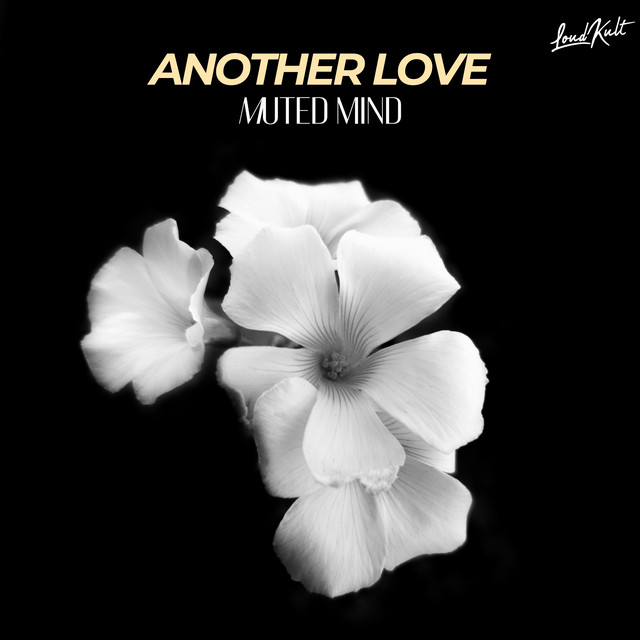 Album artwork for Another Love by Muted Mind