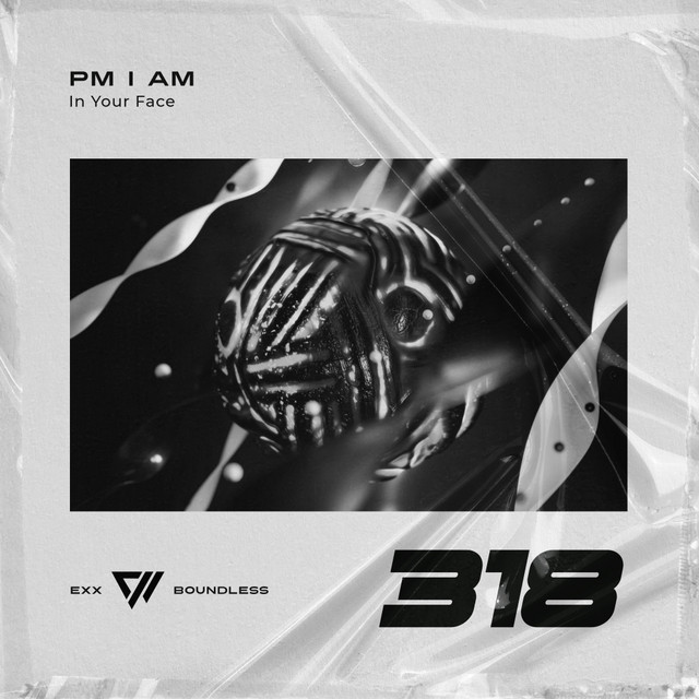 Pochette du titre In Your Face