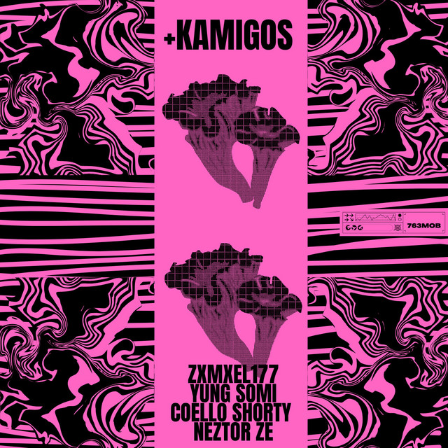 +KAMIGOS