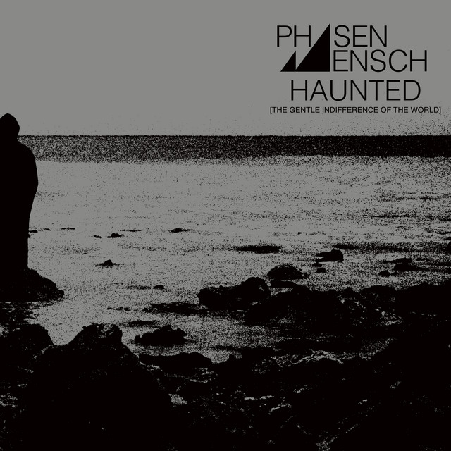 Haunted (The Gentle Indifference of the World) cover