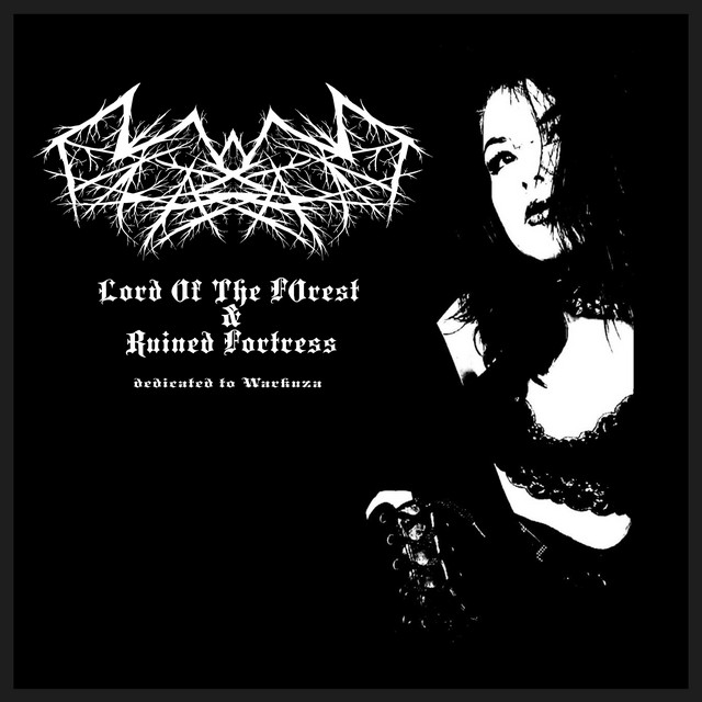 Обкладинка Runes Of Ruin — Lord of the Forest & Ruined Fortress, Dedicated to Warkuza (Remastered 2024)