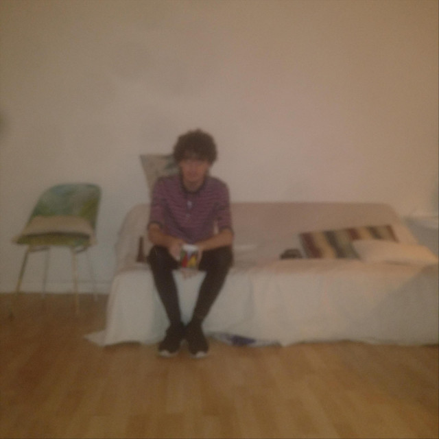 the instrumentals cover art