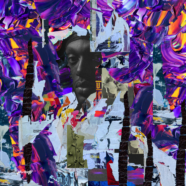 Kings cover art
