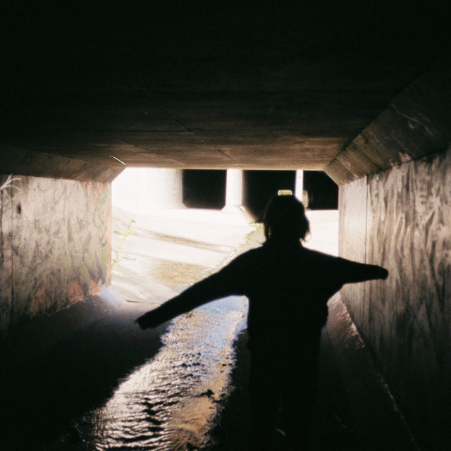 The Light cover art