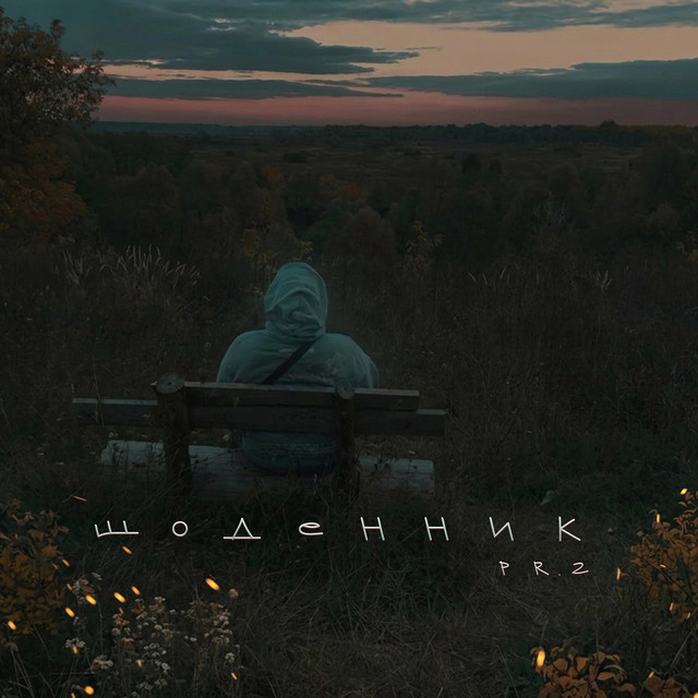 Обкладинка треку Щоденник pt.2