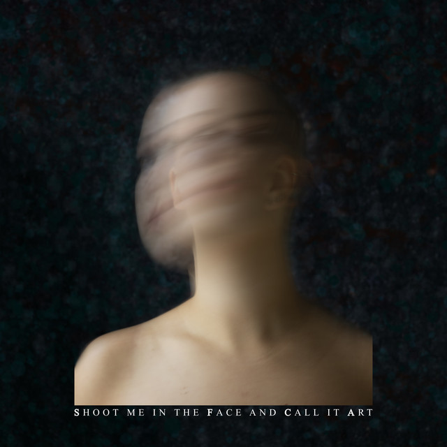 Shoot Me In The Face And Call It Art cover art