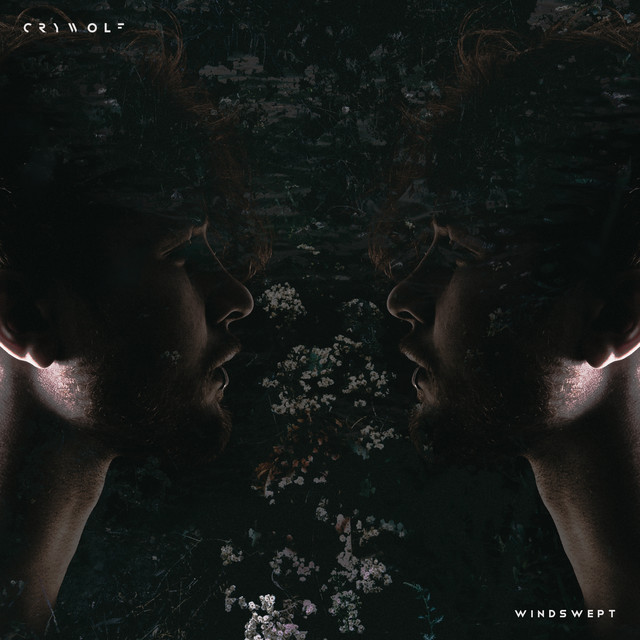 Windswept cover art