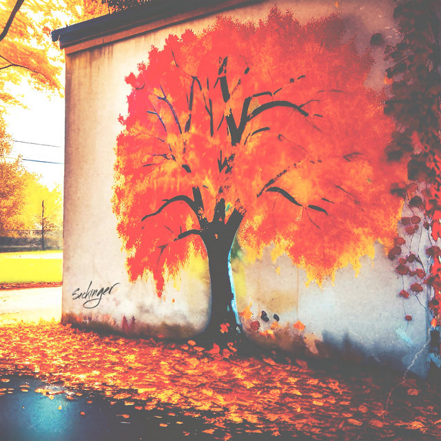 watching leaves fall