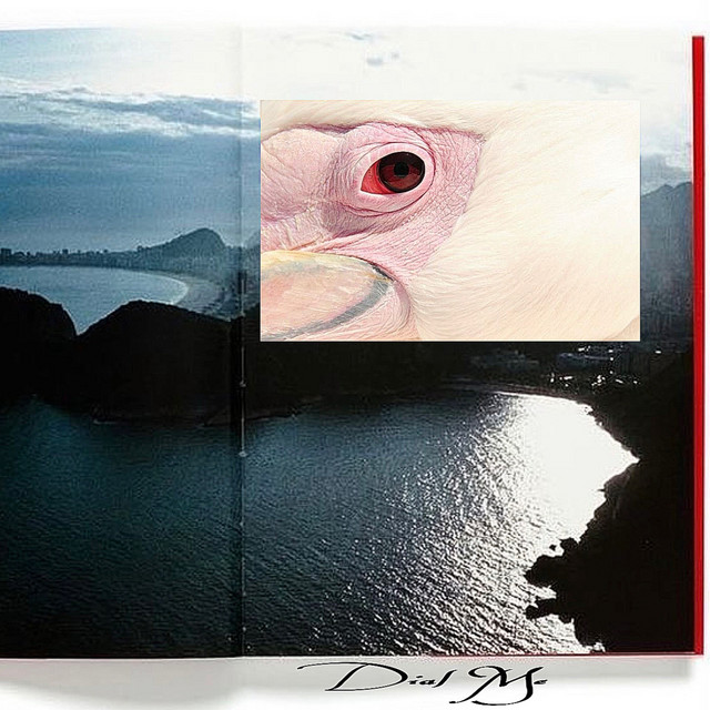 Dial Me cover art