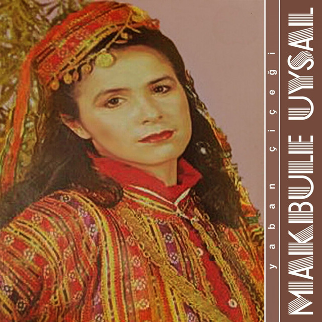 Yaban Çiçeği cover art