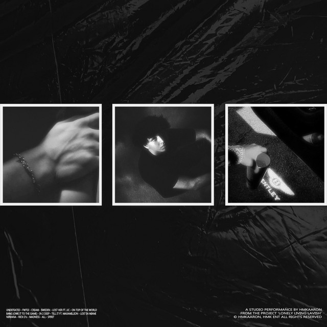 Lonely Living Lavish cover art