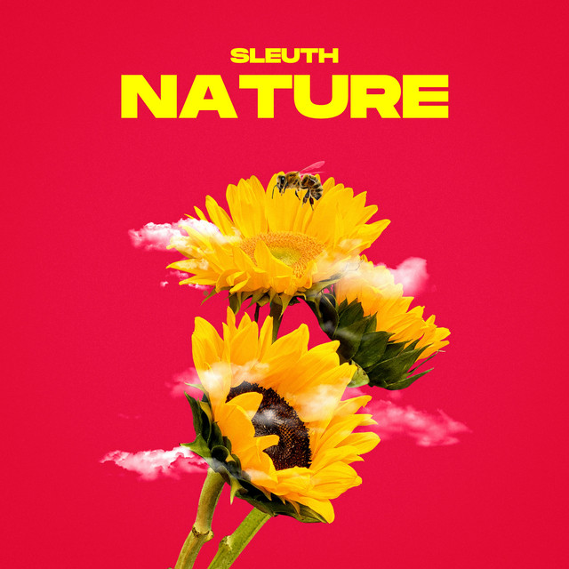 Sleuth