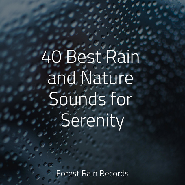 40 Best Rain and Nature Sounds for Serenity - Album by Reiki Music ...