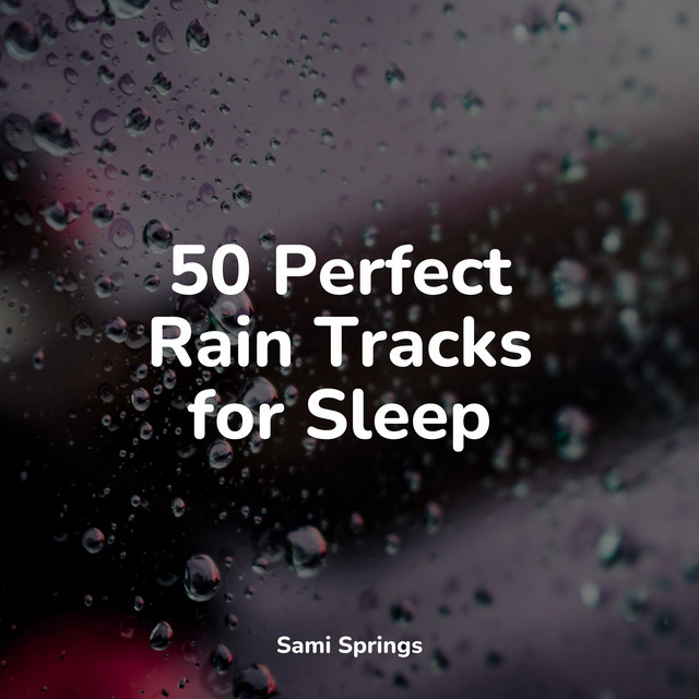 50 Perfect Rain Tracks for Sleep - Album by Sleepy Night Music | Spotify