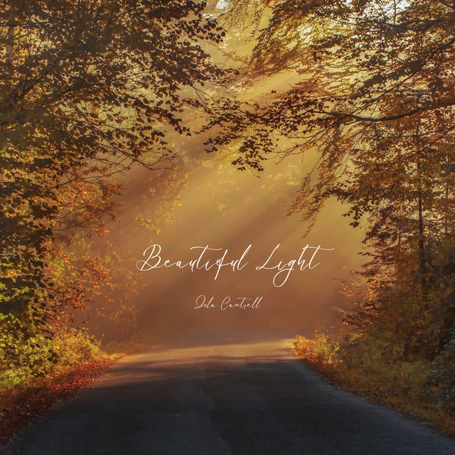 Beautiful Light cover art