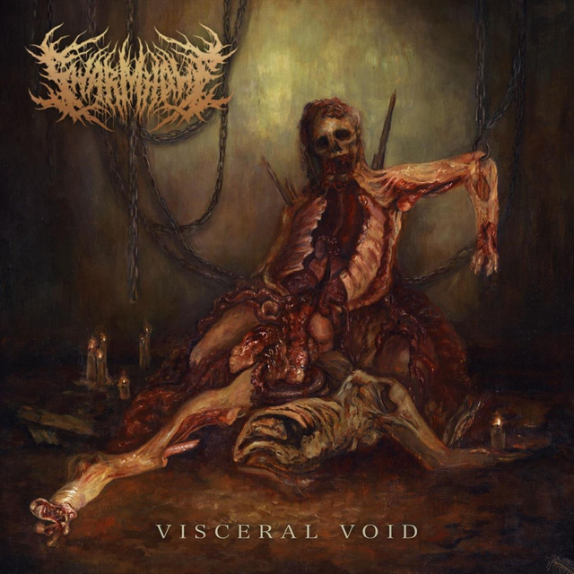 Обкладинка Swarmhole — Visceral Void