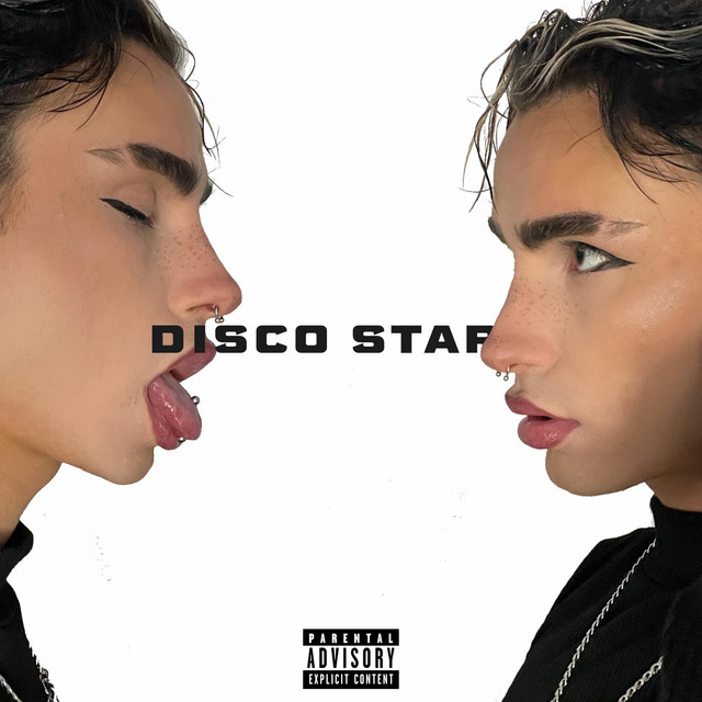 DISCO STAR cover art
