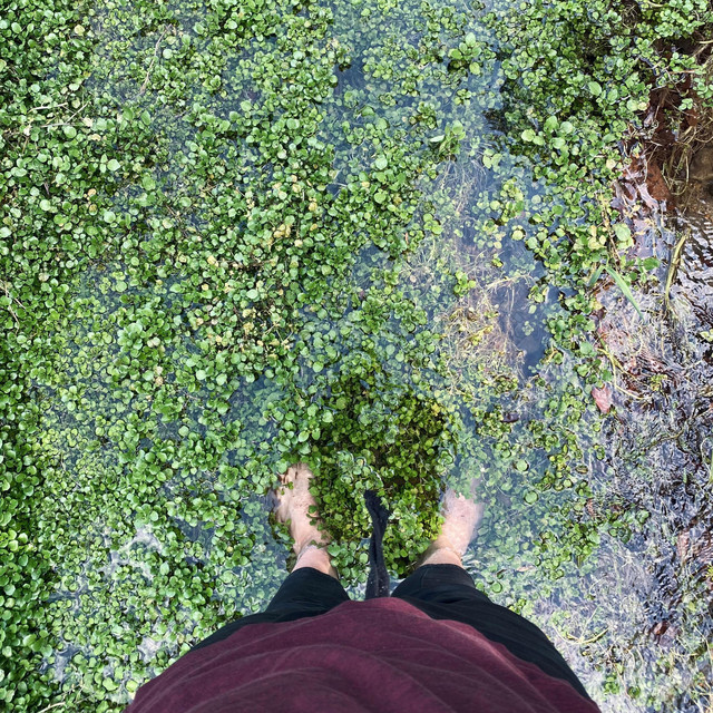where to begin? cover